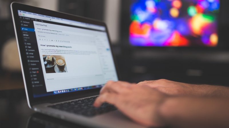 WordPress Hosting for Beginners: Tips to Get Started