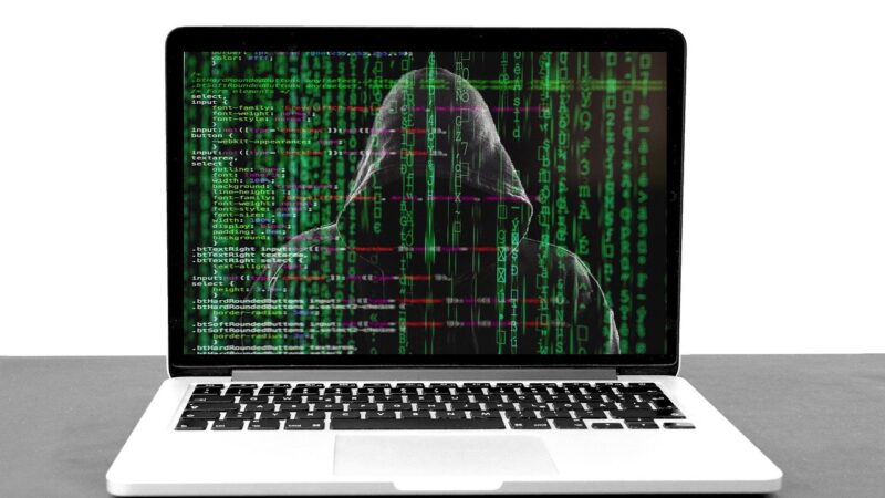 What Determines the Price of Background Check on a Website?