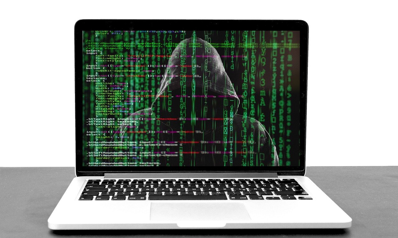 What Determines the Price of Background Check on a Website?